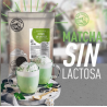 Big Train Matcha Sin Lactosa