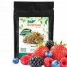 Tisana Sabor Moras, Bolsa con 100 Gramos