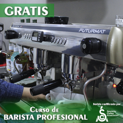 Cafetera Industrial. Modelo Ruby Pro NEGRA Conexión a Red Linea Gaggia. Cafetera De Un Grupo